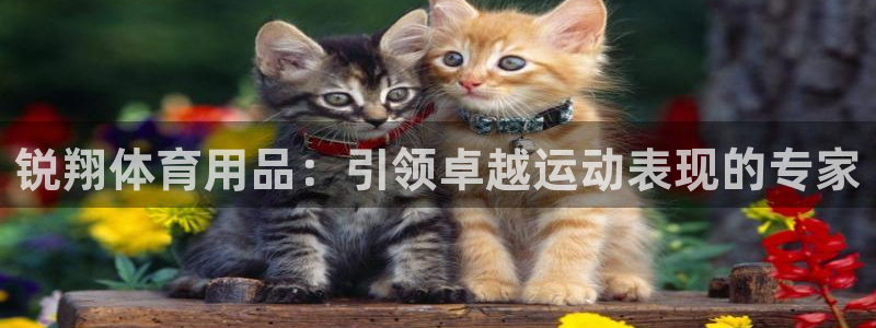 欧陆娱乐太阳：锐翔体育用品：引领卓越运动表现的专家