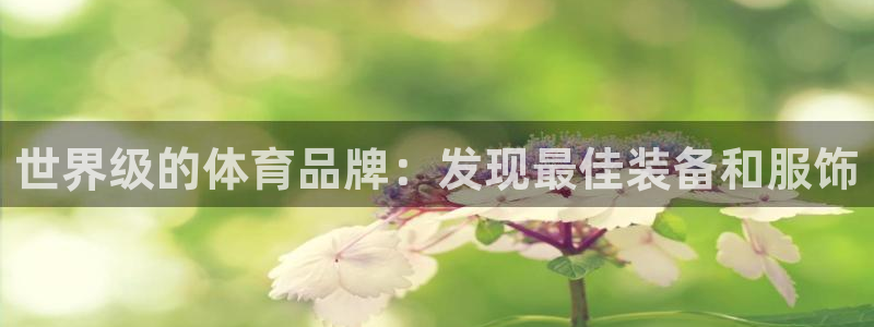 欧陆娱乐平台毕 (q—43314) 旨：世界级的体育品牌：发